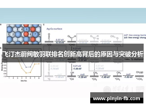 飞汀杰蔚阀敏羽联排名创新高背后的原因与突破分析