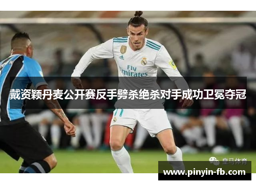 戴资颖丹麦公开赛反手劈杀绝杀对手成功卫冕夺冠