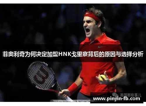 菲奥利奇为何决定加盟HNK戈里察背后的原因与选择分析